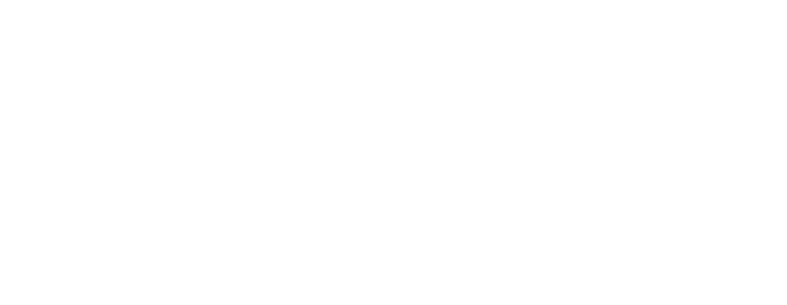 White logo – no background